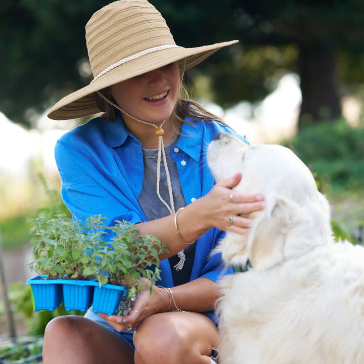 360FIVE Alltagshut – Aloe Fedora Garten-Strohhut mit breiter Krempe
